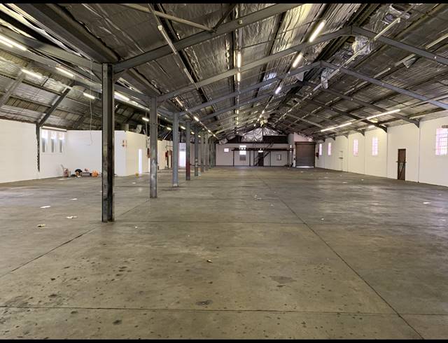 1,300M² FACTORY TO LET IN ELSIES RIVER INDUSTRIAL